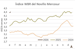 El Novillo Mercosur comenzó el año en alza