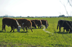 Salto será sede de una capacitación clave sobre el nuevo Despacho de Tropa Digital