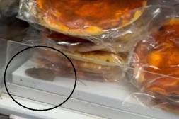 Presencia de roedores y falta de controles bromatológicos vuelven a activar alarma por falta de higiene en comercios