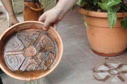 Dengue: colocación de ovitrampas  para combatir al mosquito vector