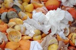 Familias denuncian 20 años conviviendo con vertidos de “desechos citrícolas” de empresas que operan en la zona