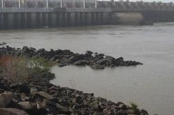 Salto Grande: embalse  se estabiliza pese a falta  de lluvias en la cuenca