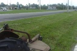 Gobierno de Salto asumió de forma transitoria corte de pasto del acceso a la ciudad