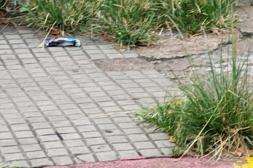 Latidos: Paradas descuidadas, cierra su temporada y más...