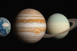 Cuándo y cómo ver el fenómeno  que ilumina el cielo de febrero