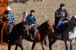 Seminario sobre “Ganadería Familiar y Desarrollo Rural” en sede Salto-Udelar