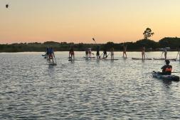 Latidos: Nueva tendencia, Avenida completa y más...