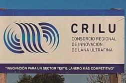 Con el mercado de lanas reacomodándose, Crilu se consolida en las ultrafinas