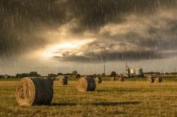 Lluvias más cerca: “El patrón está cambiando y entramos en una fase más húmeda”