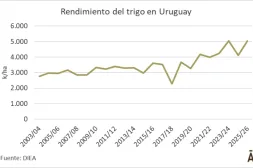 Batacazo del trigo: tuvo un rendimiento récord en la última zafra