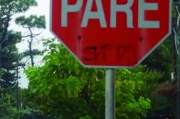 Látidos: A tener en cuenta, un caos y más...