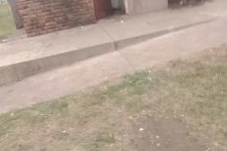 Látidos: Deplorables, Saturados, Vandalismo y más...