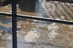 Látido: Inoperancia de OSE, No más palco y más...