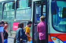 Látidos: Mayor demanda, ramas sobre la vereda y más...