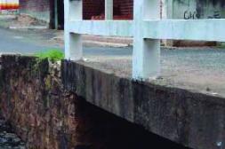 Látidos: Zona de alimañas,  Ni raro. ni novedoso y más...