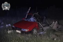 Cinco fallecidos en accidente en Florida