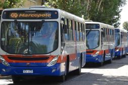 Grilla especial de ómnibus  hacia las Termas del Daymán