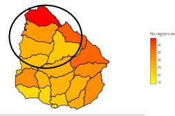 INE: 21.000 trabajadores de Salto están  por fuera del sistema de seguridad social