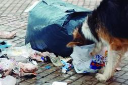 Latidos: Imagen que se repite, luces intermitentes y más...