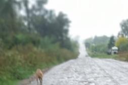 Látidos: Las lluvias castigaron, Situación de calle y más...