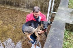 Cecoed se mantiene en alerta ante lluvias registradas y probabilidad de vientos que afectan viviendas precarias
