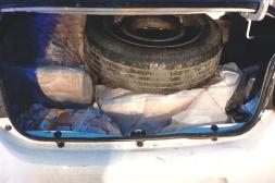 Detuvieron auto con 500 kilos de pollos brasileros que tenía como destino Salto