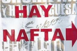 Látidos: Sin controles, Malos olores, endémicos y más...