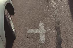 Latidos: Señalización en la feria, zafra de arroz a pleno y más...