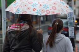 Salto se prepara para un invierno con lluvias normales y temperaturas más altas de lo habitual