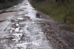 Látidos: Caminos complicados, Yerba en los bancos y más...