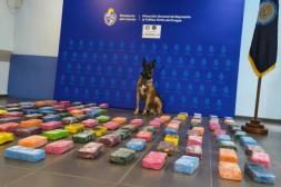 Incautaron más de 110 ladrillos de pasta base escondidos en camioneta 