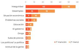 La inseguridad y el desempleo  continúan siendo los principales  problemas del país, según encuesta