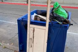 Látidos: Hasta una puerta, piden fumigar y más...