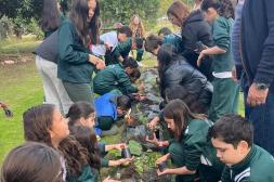 Alumnos del Colegio Santa Cruz  renuevan compromiso ambiental  en huerta de Parque Benito Solari