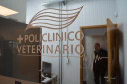 Policlínico Veterinario de Salto cumple un año con una alta demanda y foco en atención a sectores vulnerables