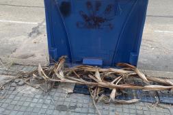 Látidos: Se sigue sin entender, Laicididad inexistente y más...