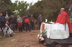 Latidos: Vía Crusis del Padre Pio, Sauzal con coloración verdosa y más...