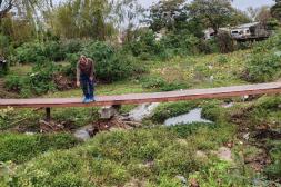 Gestión Ambiental se enfoca  en intervención de los arroyos  ante impacto de contaminación