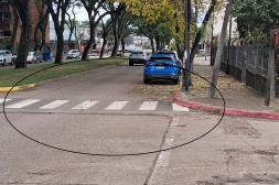 Latidos