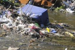Látidos: Basura y mal olor, Pirotecnia sonora y más...