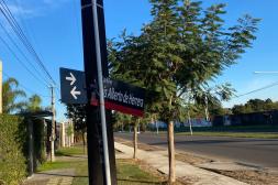 Látidos: Cartel caído, pidiendo dinero, hurgadores y más...