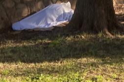 Látidos: Durmiendo en la plaza, nuevo despliegue y más...