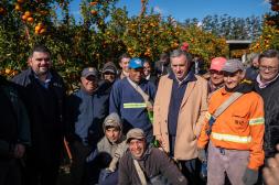 Presidente Orsi en inauguración de zafra citrícola: “Es una maravilla saber que estas cosas se generan en Uruguay”