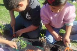 Niños y docentes consolidan la huerta  comunitaria del Parque Benito Solari 