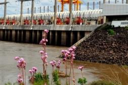 Salto Grande eleva su  evacuación y río llegará al techo de 6,70 metros