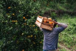 Salto con altos niveles de  informalidad laboral sobre  todo en jóvenes y mujeres