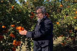 Diputado de Brum defendió el desarrollo  del interior en inicio de la zafra citrícola
