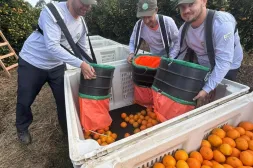 El Ministerio de Ganadería insta a productores frutihortícolas a registrarse antes el vencimiento para evitar demoras