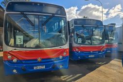 Renovación de flota: seis  ómnibus esperan el trámite  final para comenzar a circular