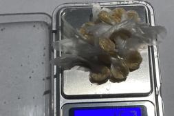 Detuvieron a joven de 19 años con varias dosis de pasta base listas  para su comercialización